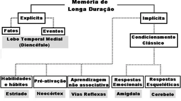 Figura 7 - Taxonomia dos sistemas de memória de longa duração. 