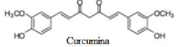 Figura 8 - Estrutura química da curcumina. 