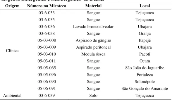 Tabela 1.  Cepas de  B. pseudomallei utilizadas, provenientes no Laboratório de  Patógenos Emergentes e Reemergentes- LAPERE 