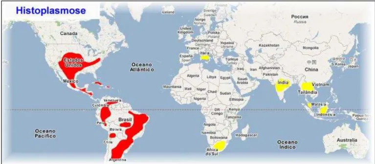 Figura  3  -  Distribuição  geográfica  da  histoplasmose  clássica.  As  áreas  destacadas  em  vermelho  correspondem  às  zonas  endêmicas e as regiões em amarelo os casos comprovados de infecção por H