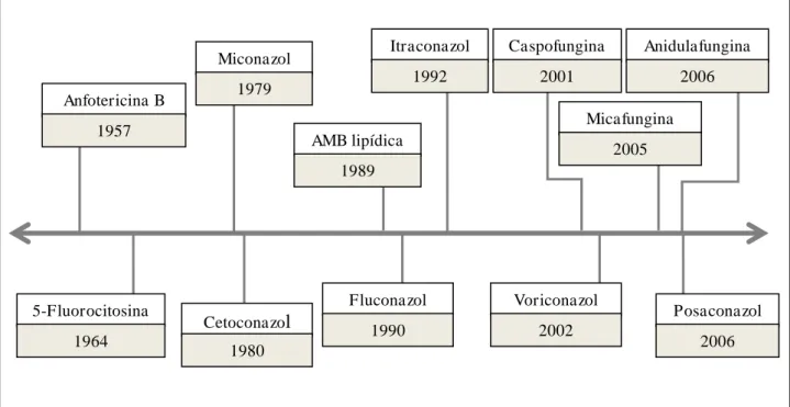 Figura 6 - Evolução histórica das principais drogas antifúngicas empregadas na terapia das micoses sistêmicas e seus  respectivos anos de aprovação pelo  Food and Drug Administration (FDA, USA)