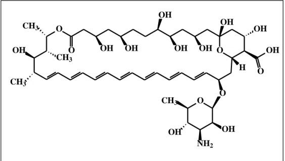 Figura 7 - Estrutura química da droga Anfotericina B. 