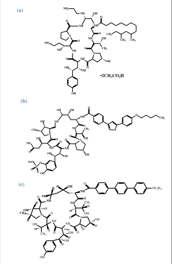 Figura  11  -  Estrutura  química  das  equinocandinas:  (a)  caspofungina,  (b)  micafungina  e     (c) anidulafungina