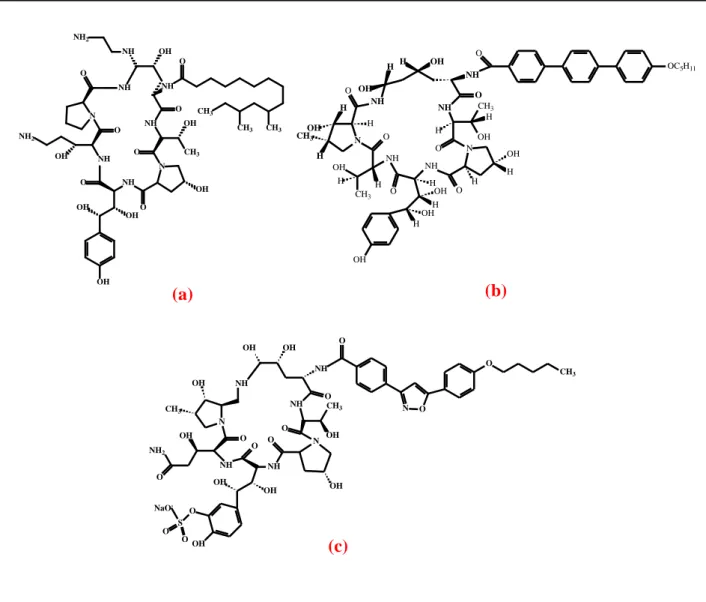 Figura 6 - Estrutura química das equinocandinas: (a) caspofungina, (b) micafungina e (c) anidulafungina
