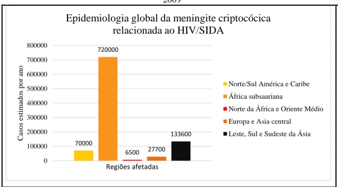 Figura 6 -  Epidemiologia global da meningite criptocócica relacionada ao HIV/Aids ano  2009 