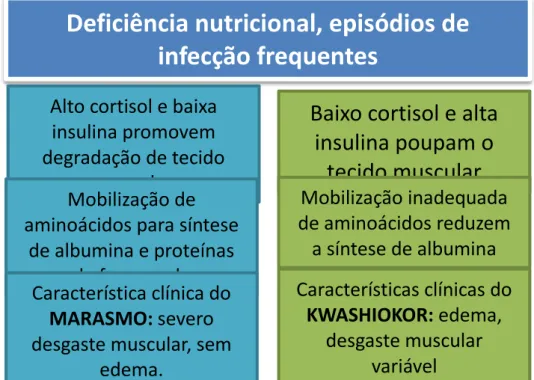 Figura 2 - Etiopatogenia do marasmo e do kwashiokor.  