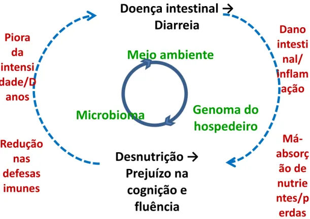 Figura 3 - Ciclo vicioso envolvendo diarreia e desnutrição, incluindo fatores intrínsecos e extrínsecos ao  indivíduo e possíveis consequências