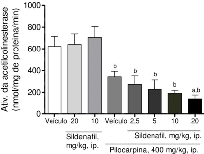 Figura  16.  Efeitos  do  pré-tratamento  agudo  sildenafil  sobre  a  atividade  da  acetilcolinesterase (AChE)  no corpo estriado de  camundongos durante as convulsões  induzidas por P400