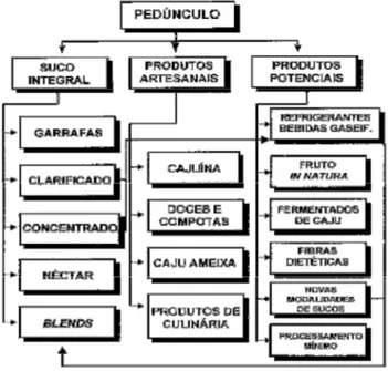 Figura 1 - Alternativas tecnológicas para o aproveitamento de pedúnculo de caju. 