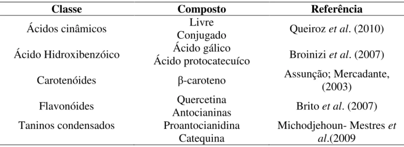 Tabela 3 - Compostos fenólicos descritos no pedúnculo de caju. 