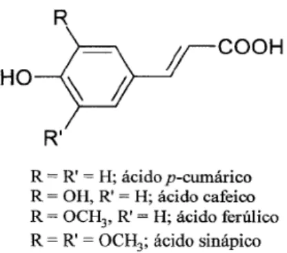 Figura 2 - Estrutura do ácido cinâmico e seus derivados. 