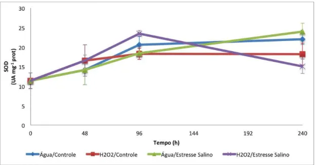Figura 6 - Atividade da enzima superóxido dismutase (SOD) em folhas de feijão-de-corda, cultivar TVu, sob os  seguintes tratamentos: água/controle, H 2 O 2 /controle, água/ salino e H 2 O 2 /salino
