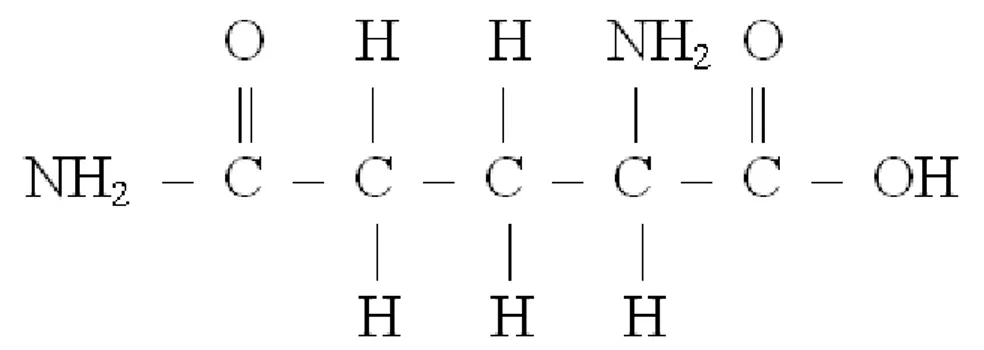 FIGURA 1  –  Fórmula estrutural da glutamina (adaptada de Roskoski, 1997)  A  fórmula  exposta  revela  que  a  glutamina  é  um  ácido  carboxílico  biaminado,  característica que compartilha com asparagina e a lisina (ROSKOSKI, 1997), alinhando-se na  ca