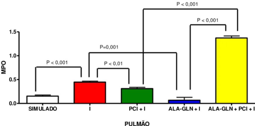TABELA 1 – Atividade da MPO pulmonar (unidade /g de tecido fresco) nos grupos  submetidos à isquemia