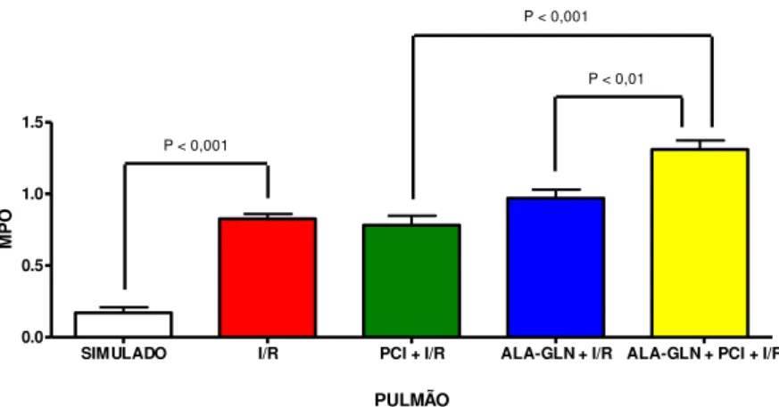 TABELA 2  –  Atividade da MPO pulmonar (unidade /g de tecido fresco) nos grupos  submetidos à I/R