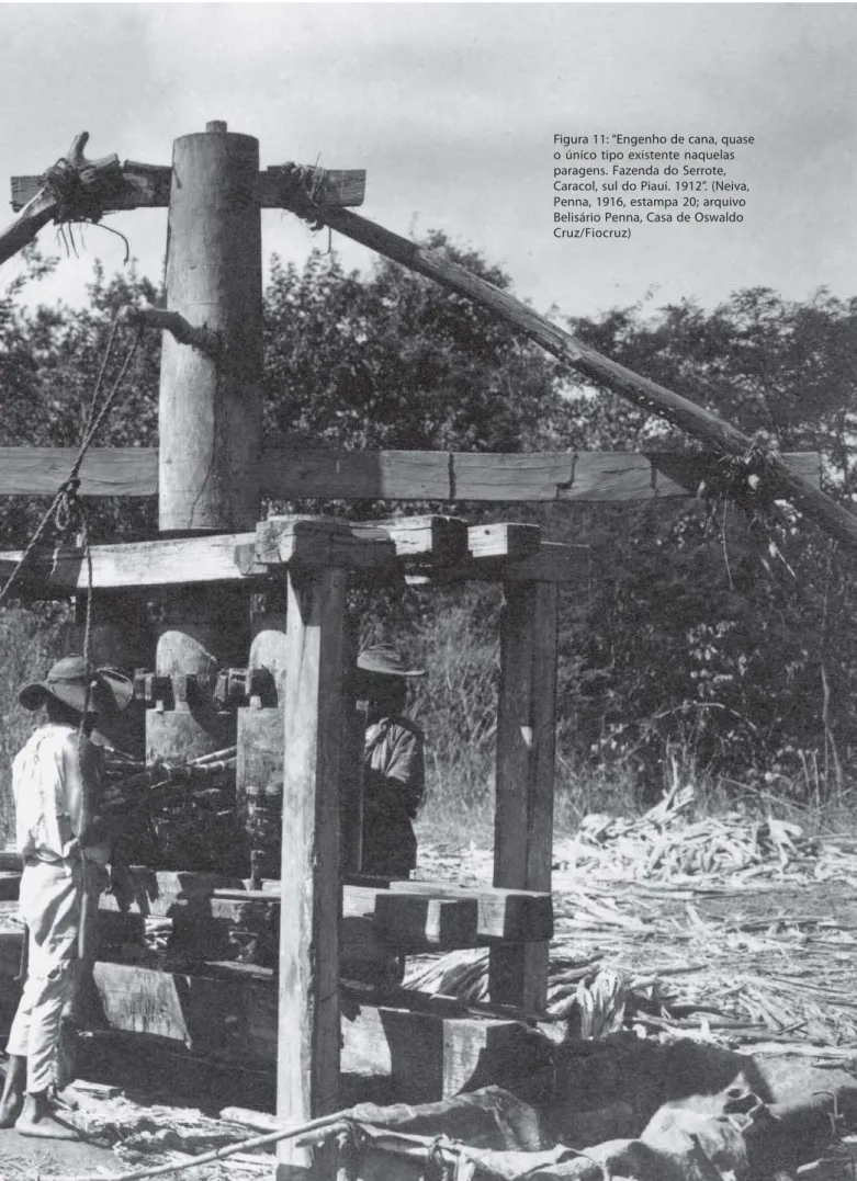 Figura 11: “Engenho de cana, quase o único tipo existente naquelas paragens. Fazenda do Serrote, Caracol, sul do Piauí