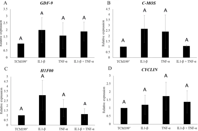 Figure  2.  Levels  of  mRNA  for   GDF-9  (A); C-MOS  (B),  H1F00  (C)  and CYCLIN  (D)  in  secondar y follicles (mean ± SD) cultur ed in vitr o for  18 days