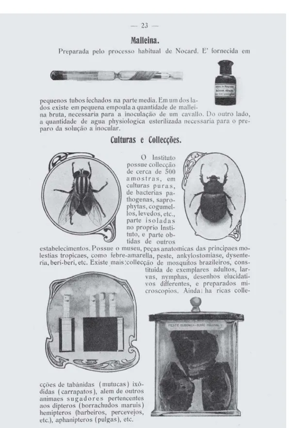 Figura 1 – Página da primeira publicação do Instituto Oswaldo Cruz, de 1909, onde as coleções entomológicas são citadas (exemplar da Biblioteca de Obras Raras de Manguinhos)