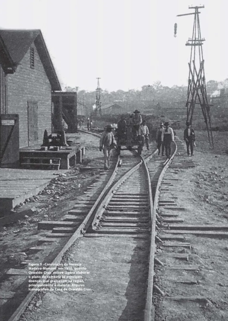 Figura 3 –Construção da ferrovia Madeira-Mamoré  em 1910, quando Oswaldo Cruz  esteve lápara elaborar o plano de combate às principais doenças que grassavam na região, principalmente a malária