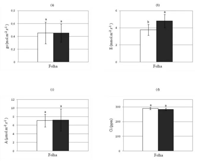 FIGURA 6- Efeito do ácido abscísico (ABA) na condutância estomática (a), na taxa de transpiração (b), na taxa  fotossintética (c) e na concentração interna de CO 2  (d) em plantas de Vigna unguiculata cv