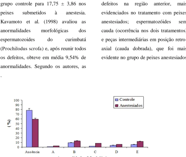 Figura  4.  Percentual  da  ausência  e  presença  dos  vários  tipos  de  anormalidades  morfológicas  dos  espermatozoides  (A,  B,  C,  D  e  E)  dos  peixes  submetidos  ou  não  à  anestesia com eugenol