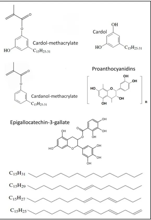 Figure 1 - Chemical structures of the biomodification agents tested.