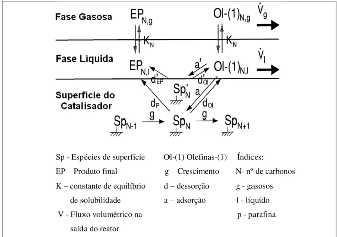 Figura  2.8 -   Modelo  Cinético  (superfície  de  polimerização  não-trivial)  da  Síntese   Fischer-Tropsch (Schulz e Claeys,1999).