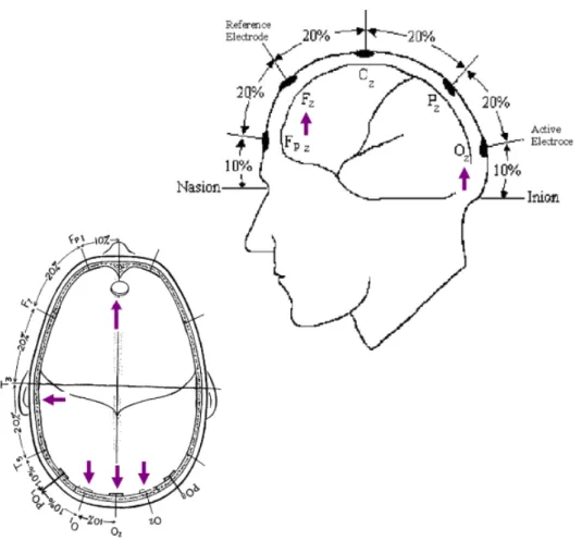 Figura 11 -  Localização dos eletrodos de acordo com o sistema internacional 10/20 (Fonte: 