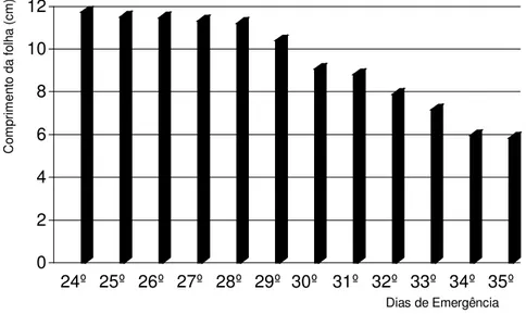 Figura 7: Variação do comprimento da folha de C. prunifera de  acordo  com  o  dia  de  emergência,  após  a semeadura