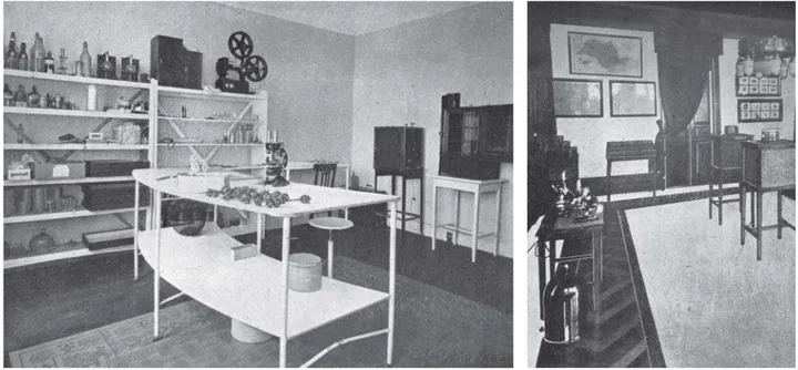 Figura 11 –  Laboratório de entomologia da Comissão de Estudo e Debelação da Praga Cafeeira (Neiva, Andrade &amp; Telles, 1925b).