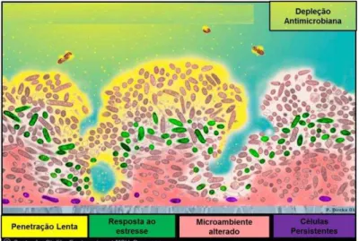 Fig.  09.  Ilustração  de  cinco  hipóteses  de  mecanismos  de  tolerância  de  biofilme  aos  agentes  antimicrobianos