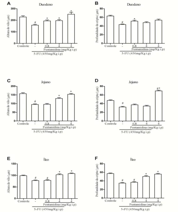 Figura 5 -  Inibição de S100  aumenta o comprimento das vilosidades e da profundidade das  criptas no intestino delgado de camundongos submetidos à mucosite intestinal induzida por  5-FU