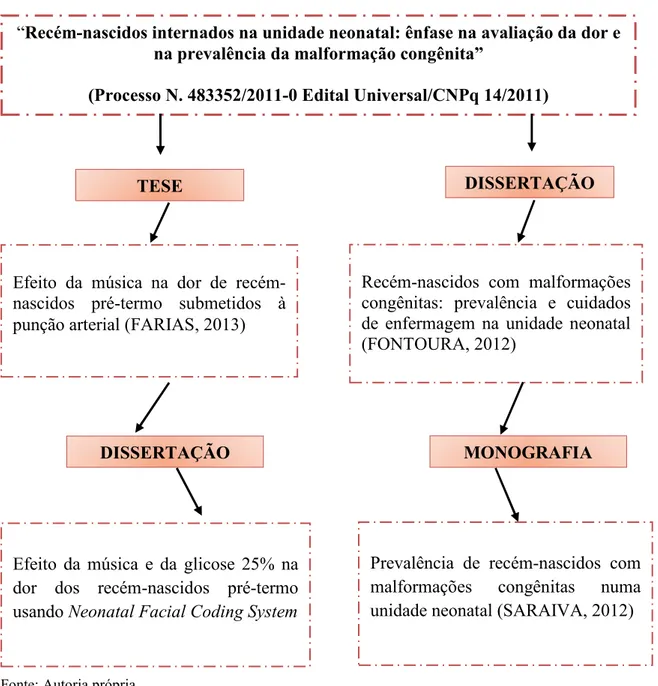 Figura 3 - Resumo dos projetos desenvolvidos com financiamento do CNPq, Fortaleza -CE,  2013