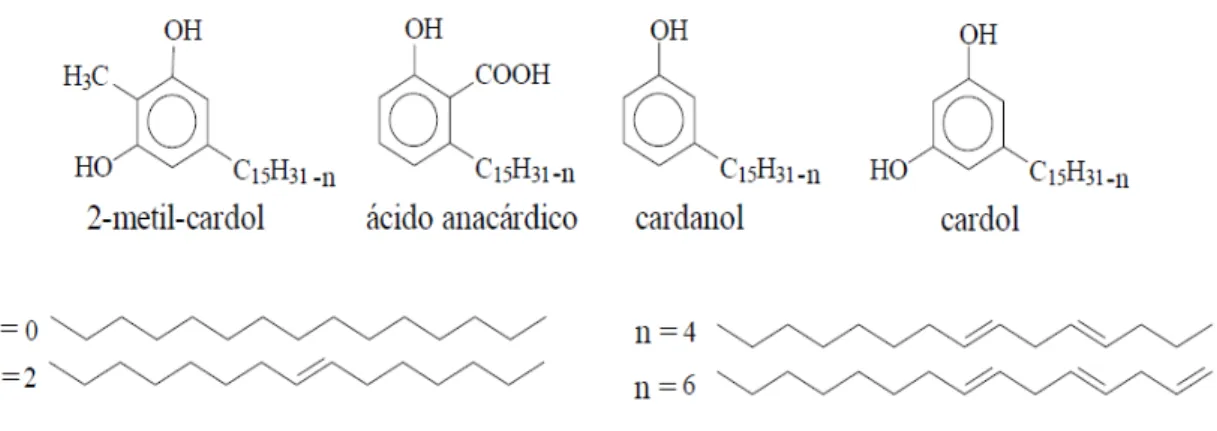Figura 1: Estruturas químicas dos componentes do LCC  