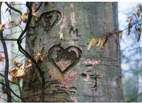 Figura 7. O símbolo do coração gravado significando amor.