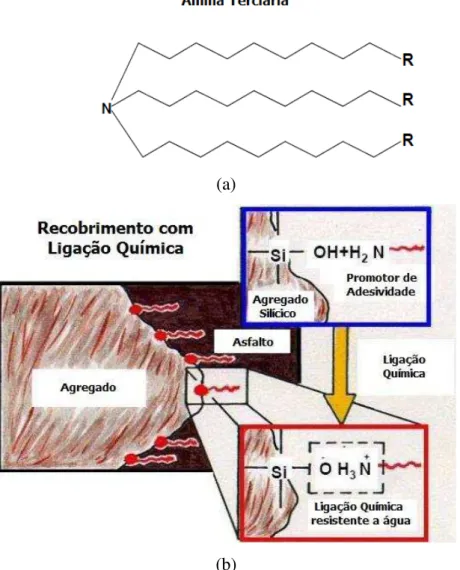 Figura 2.16  –  (a) Características das aminas presentes em um DOPE e (b) Formação da  ligação química entre o CAP e os agregados (Little e Bhasin, 2005 e Liberatori e 