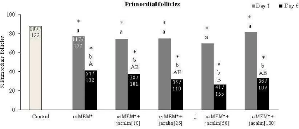 Figure 3. Percentage of primordial follicles in uncultured control tissue and after culture for 1  or 6 days in  α -MEM +  supplemented with different concentrations of jacalin (0, 10, 25, 50 and  100 μg/mL)