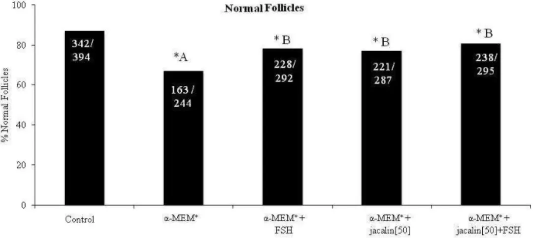 Figure 5. Percentage of morphologically normal follicles in uncultured control tissue (day 0),  and  in  tissue  cultured  for  6  days  in  medium  containing  FSH,  jacalin  or  both