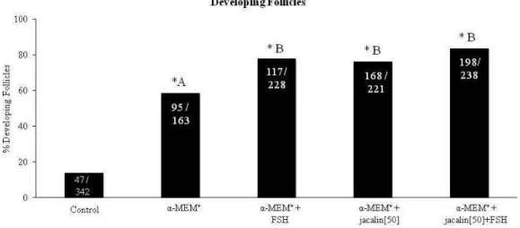 Figure 7. Percentage of developing follicles in uncultured control tissue (day 0) and in tissue  cultured  for  6  days  in  medium  containing  FSH,  jacalin  or  both