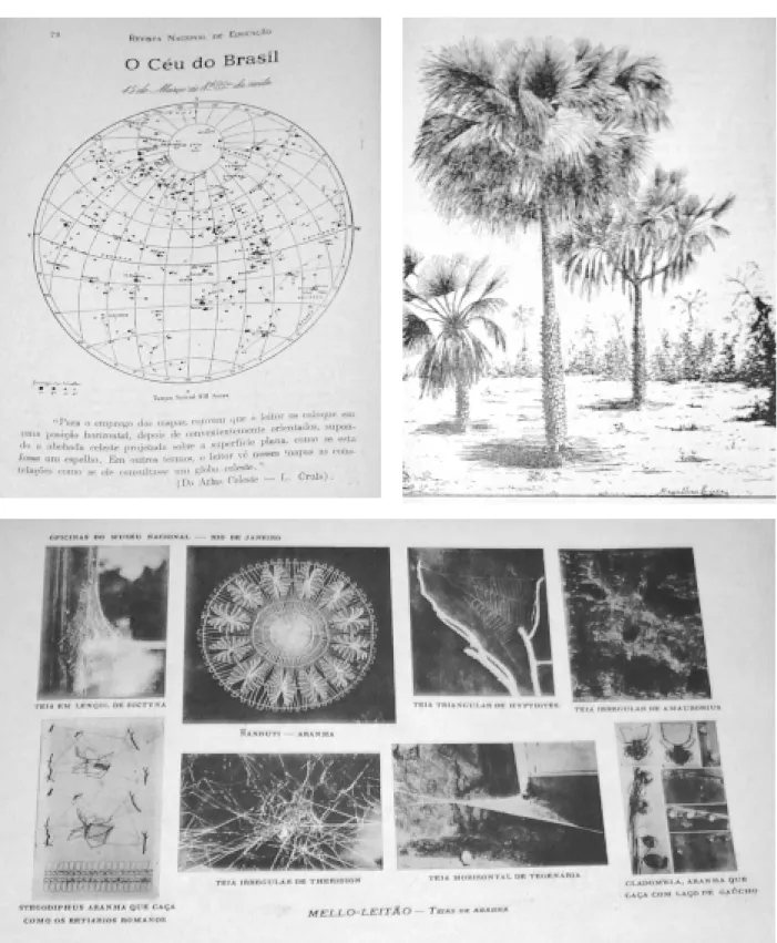 Figura 2  Acima, à esquerda, o mapa do Céu do Brasil, de Louis Cruls. À direita, imagem que ilustra artigo de Alberto Sampaio sobre a carnaúba, ano 1(7), abril 1933, p