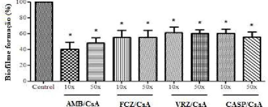 Figura 7. Gráfico de biofilme em formação para C. metapsilosis mostrando as percentagens de inibição do  sinergismo entre CsA/antifúngicos nas CIM 10X  e CIM 50X 