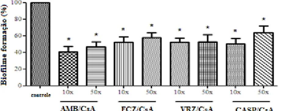 Figura 8. Gráfico de biofilme em formação para C. orthopsilosis mostrando as percentagens de inibição do  sinergismo entre CsA/antifúngicos nas CIM 10X  e CIM 50X 