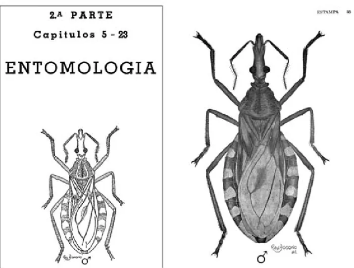 Figura XVI. Reproduções, respectivamente, da abertura de um capítulo de Pinto (1938, p