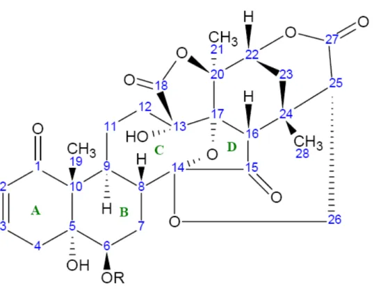 Figura 3 – Estrutura básica das fisalinas 