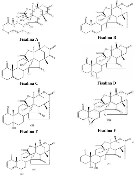 Figura 4 - Estrutura Química das Fisalinas A, B, C, D, E, F, G e H 