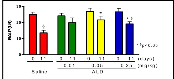 Figure 2. Effect of ALD on Bone-specific alkaline phosphatase. Bars  represent Mean±SEM of BALP (U/l) of a minimum of 6 animals per group