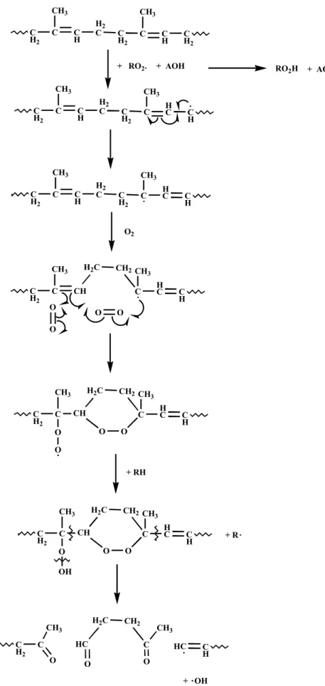 Figura 5.  Processo de degradação no poliisopreno via mecanismo de radical livre. 27