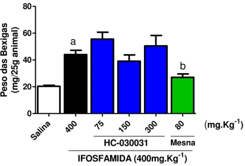 Figura  8.  HC-030031  não  Possui  Efeito  Antiinflamatório  sobre  a  Cistite  Hemorrágica  Induzida  por  Ifosfamida