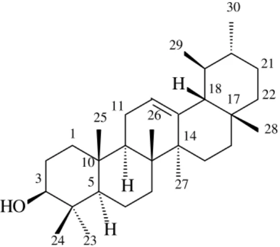 Figura 6 - Estrutura química dos triterpenos pentacíclicos α- e β- amirina 