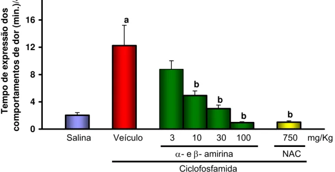 Figura 8. Efeito antinociceptivo de α- e β- amirina no modelo de dor  Visceral induzida por ciclofosfamida em camundongos